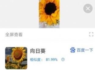 洛里斯天天扫描王最新版