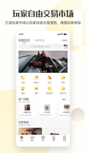 集宠区app