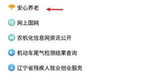 辽事通健康码最新版