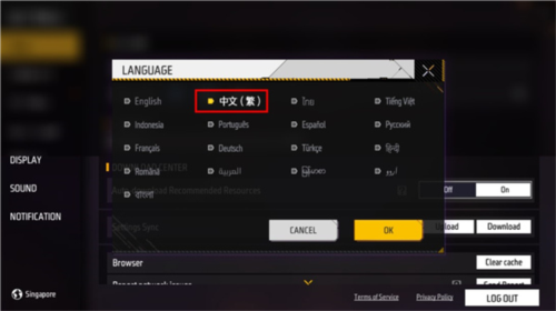 自由之火2023中文版