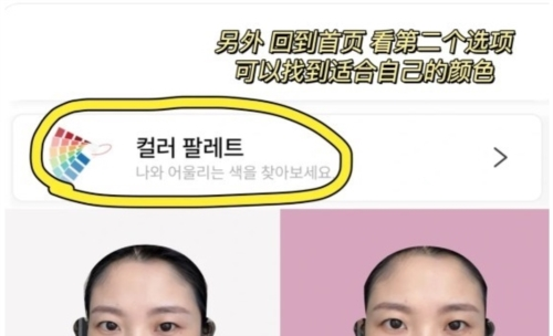 colorlover官方版