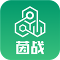 茵战app