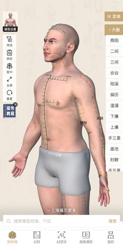 中济经络穴位app