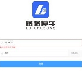路路停车app
