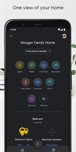 google home app