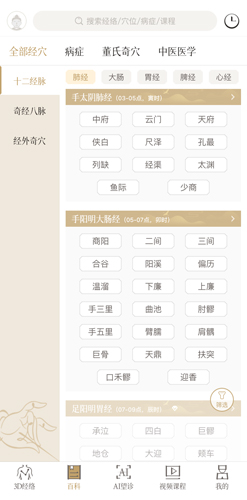 中济经络穴位app
