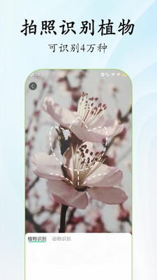 北极花生物调查最新版