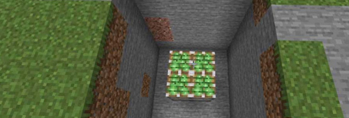 我的世界1.17基岩版模组