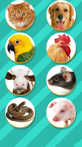 猫狗翻译器中文版