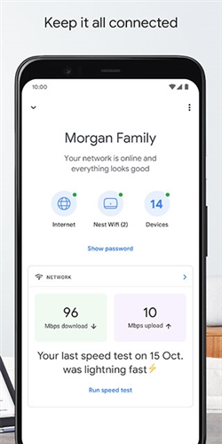 google home app