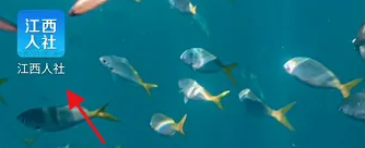 江西人社app人脸识别认证