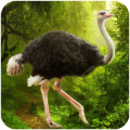 鸵鸟模拟器