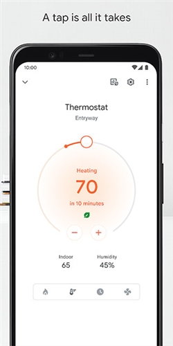 google home app