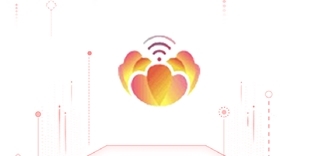 无线洛阳客户端