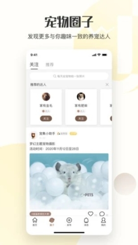 集宠区app