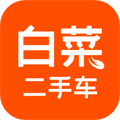 白菜二手车app