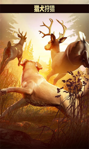 猎鹿人破解版无限金币无限钻石