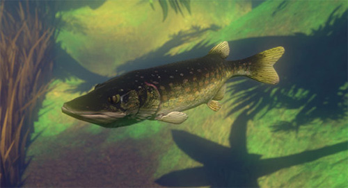 海底大猎杀内购破解版