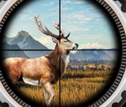 荒野狩猎求生最新版