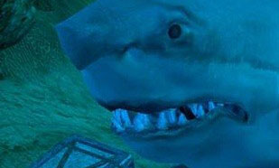 水下生存模拟汉化版