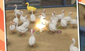 我用圈圈套大鹅