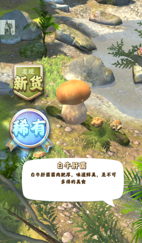 夺笋高手免广告版