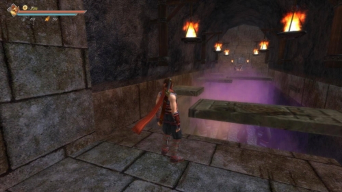 九夜刺狼内购版