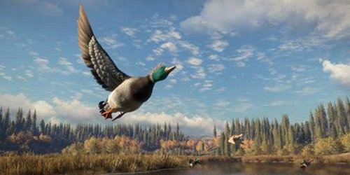 猎人:荒野的召唤