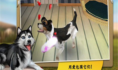 狗舍安卓版
