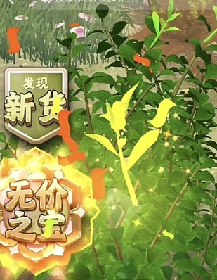 夺笋高手免广告版