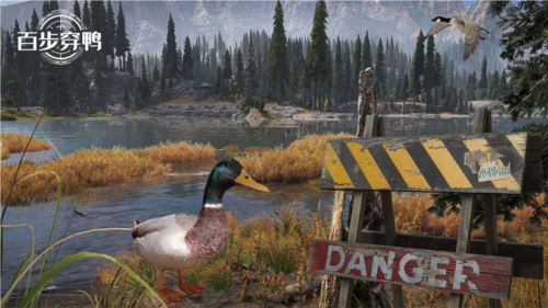 百步穿鸭