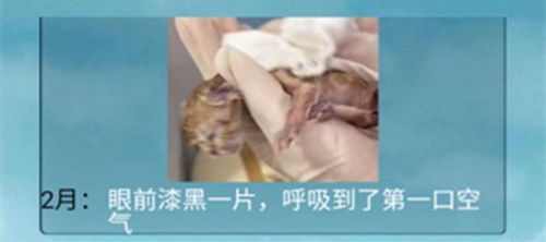 猫的一生重启模拟器