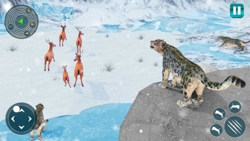 荒野求生大冒险