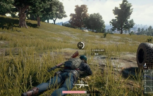 绝地求生轻量版体验服