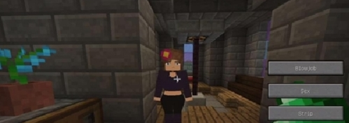 我的世界java珍妮互动模组