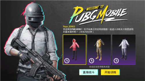 pubg印度服官方版