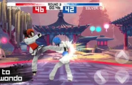 全球跆拳道大赛游戏