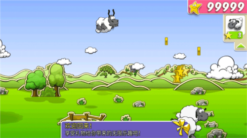 云和绵羊的故事