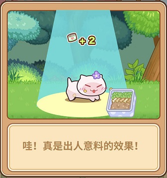 猫旅馆物语最新版本