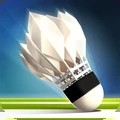羽毛球高高手2023破解版