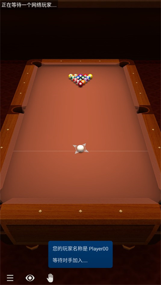 3D台球专业版