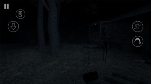 The Dark Pursuer中文联机版