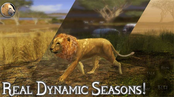 终极狮子模拟器2官方正版
