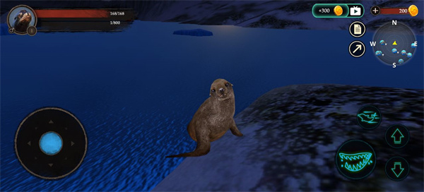 海狮模拟器正版(The Sea Lion)