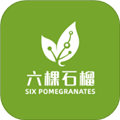 六棵石榴最新版