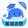 鲸准志愿app