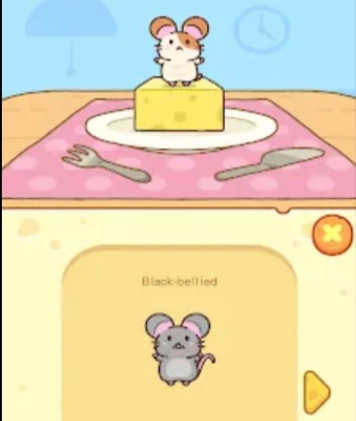 奶酪仓鼠app