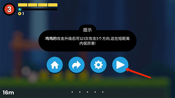 小鸡的追逐中文版