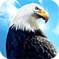 老鹰生存模拟器