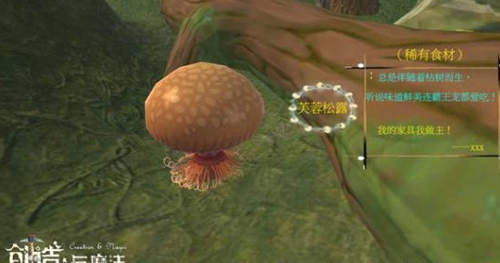 创造与魔法应用宝版